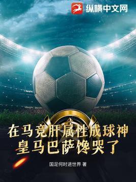 足球西甲什么意思