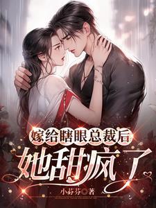 嫁给瞎眼王爷后