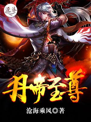至尊丹帝境界
