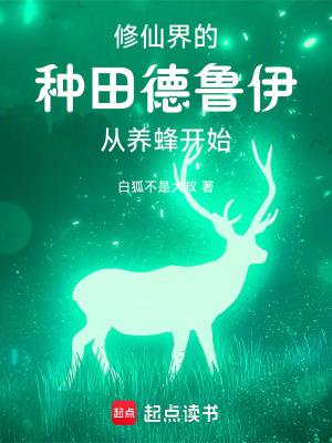 德鲁伊走什么路线好