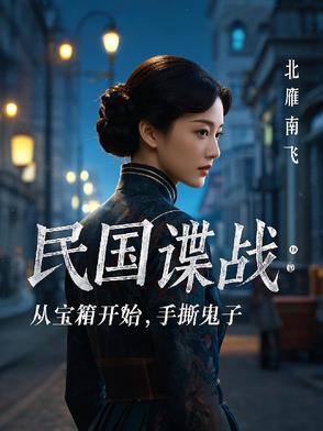 十大民国谍战排行榜密战无痕