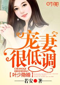 叶少追妻宠上瘾