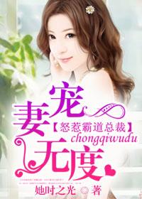 宠妻如命霸道总裁太给力免费阅读