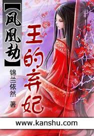 凤凰劫二嫁王妃