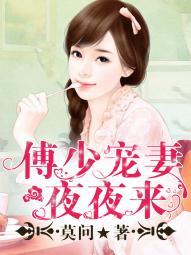 傅少宠妻宠上天hhh