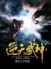 逆天武神男主能力