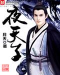 夜天子田妙雯结局