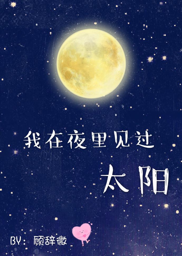 我见过夜里的太阳