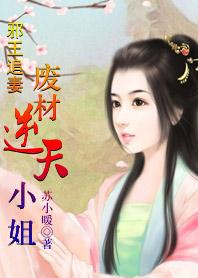 误惹妖孽王爷废材逆天四小姐在哪里看