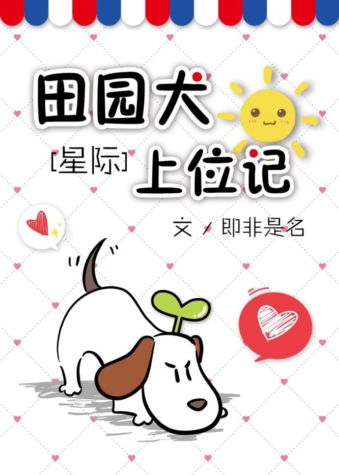 田园犬吧 百度贴吧