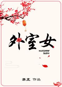 外室女菜汪汪讲的什么