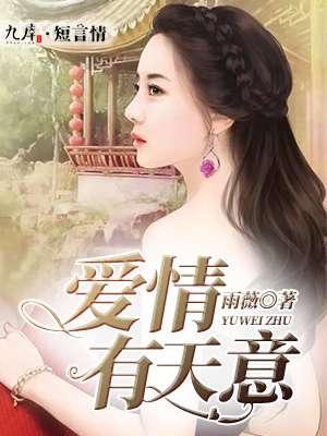 爱情有天意电视剧