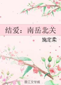 结爱·南岳北关讲的什么