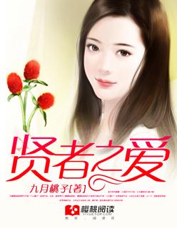 贤者之爱原著