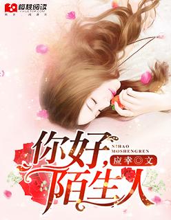你好陌生人歌曲完整版
