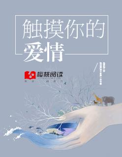 触摸情歌
