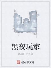 黑夜玩家作者怎么了