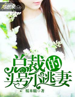 总裁的头号萌妻全文免费阅读