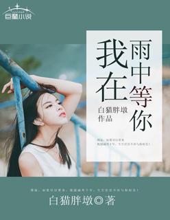 我在雨中等你国语免费观看