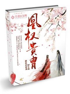 凰权讲的什么