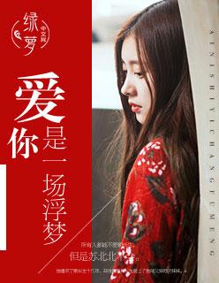 爱你是一场戏免费