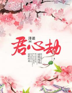道君心劫