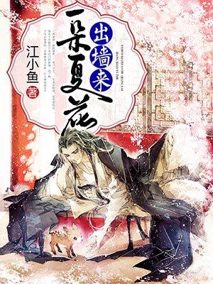 一朵夏花出墙来讲的什么