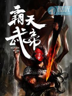 霸天武魂无弹窗免费阅读