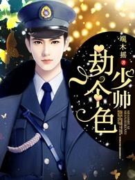 少帅21集
