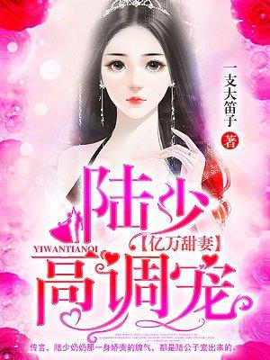 陆少的千亿甜妻
