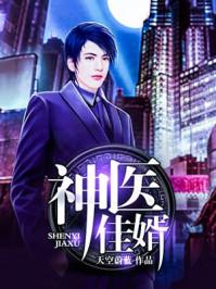 神医佳婿人物介绍