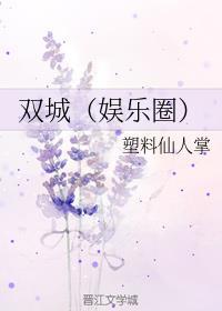 双城改编自哪本