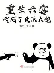 重生六零我成了反派大佬作者我尽力了