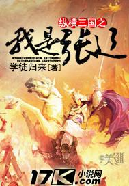 三国之张辽