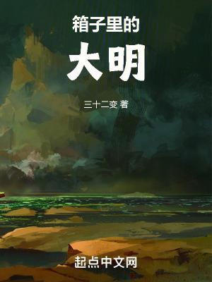 箱子里的大明高一叶结局