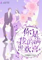 你是我满心欢喜免费阅读