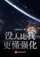 没人比我更懂得强化txt