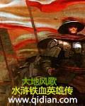 铁血英雄一共多少集
