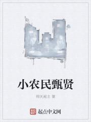 小农民全集免费阅读