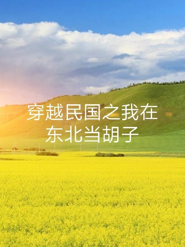 穿越东北民国带系统的