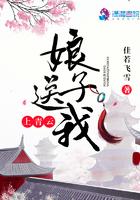 娘子请上轿齐书容
