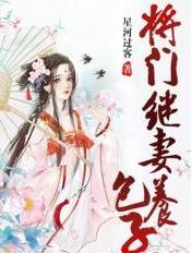 重生之将门继妻