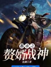 都市赘婿完本