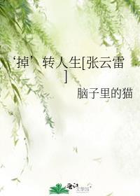 掉转人生张云雷