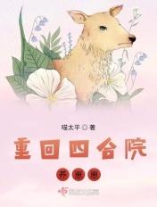 重生四合院一大爷养子免费
