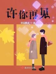 许你再见钟情短剧在线观看