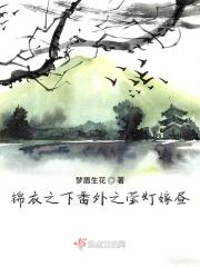 锦衣之下番外圆房篇