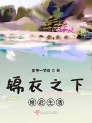 锦衣之下婚后生活11