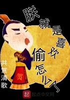 朕就是喜欢丞相大结局