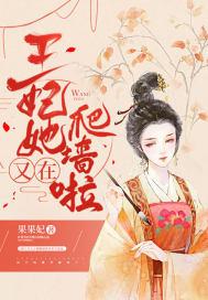 王妃又爬墙了人物关系